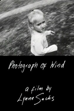 Photograph of Wind (2001)