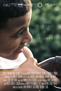 Pick Up The Wind (2021)