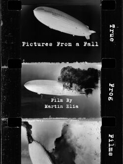 Pictures From a Fall (2024)