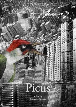 Picus (2023)