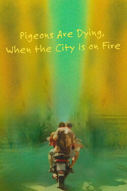 Pigeons Are Dying, When the City Is on Fire (2023)