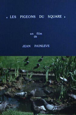 Pigeons in the Square (1982)