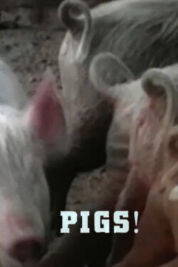 Pigs! (1967)