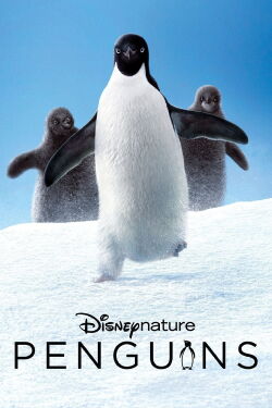 Pinguine (2019)