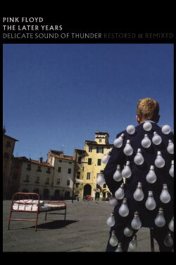 Pink Floyd: The Later Years, Vol 2 - Delicate Sound of Thunder (2019)