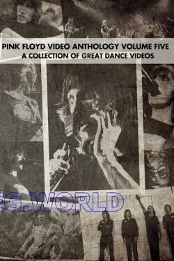 Pink Floyd: Video Anthology Vol. 5 (2004)