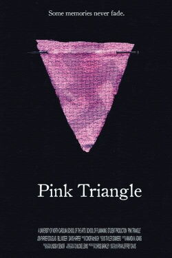 Pink Triangle (2010)