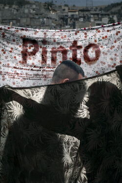 Pinto (2021)