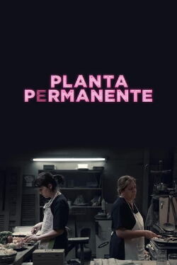 Planta permanente (2019)