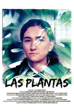 Plants (2016)