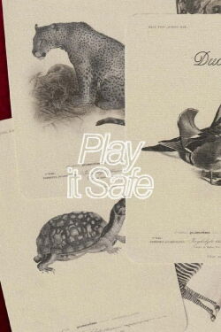 Play It Safe (2021)