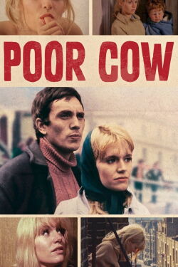 Pobre vaca (1967)
