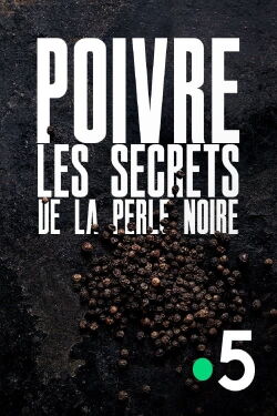 Poivre, les secrets de la perle noire (2020)