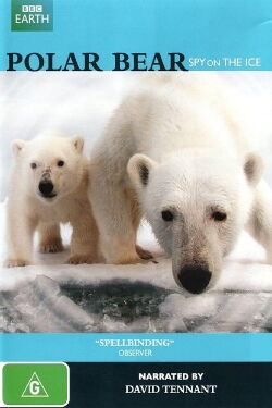 Polar Bear: Spy on the Ice (2011)