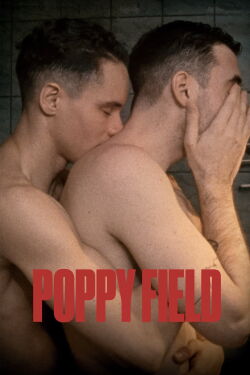 Poppy field (2022)