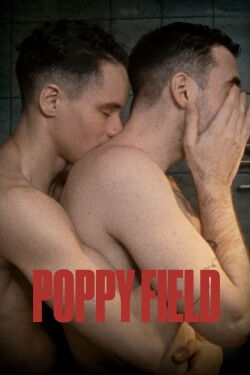 Poppy field (2022)