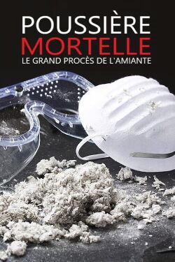 Poussière mortelle, le grand procès de l'Amiante (2011)