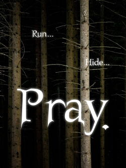 Pray. (2007)