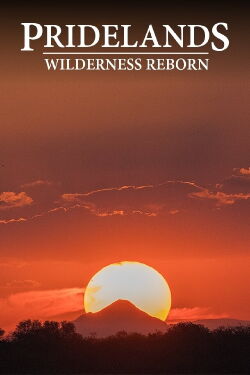 PRIDELANDS: WILDERNESS REBORN (2019)
