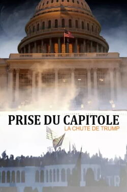 Prise du Capitole - la chute de Trump (2021)