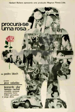 Procura-se Uma Rosa (1964)