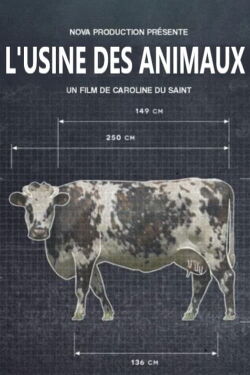 Production Line Animals (2023)