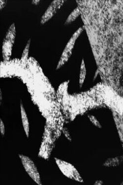 Proem (To Brooklyn Bridge) (2014)