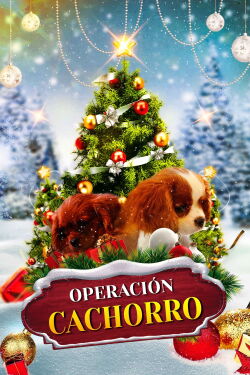 Project: Puppies for Christmas (2019)