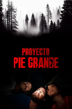 Proyecto Pie Grande (2017)