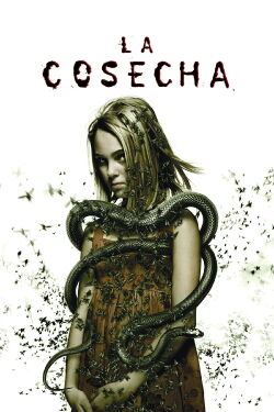 Prueba de fe (2007)