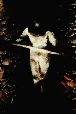 Psalm II: Walking Distance (2000)