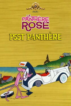 Psst Panthère (1971)