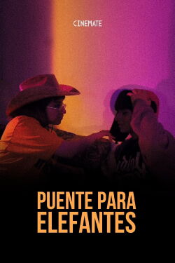 Puente Para Elefantes (2024)