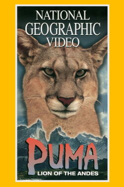 Puma: Lion of the Andes (1996)