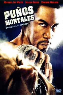 Puños mortales (2009)