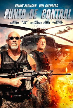 Punto de control (2017)