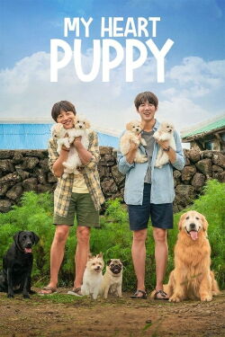 Puppy (2023)