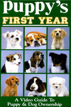 Puppy's First Year (2018)