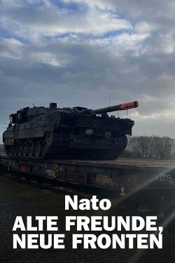 Putin, NATO, and Europe (2024)