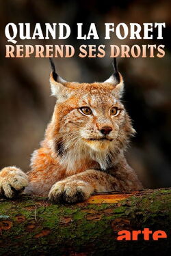Quand la forêt reprend ses droits - Le parc national de la forêt de Bavière (2021)