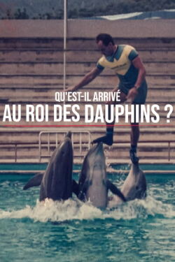 Qu'est-il arrivé au roi des dauphins ? (2022)
