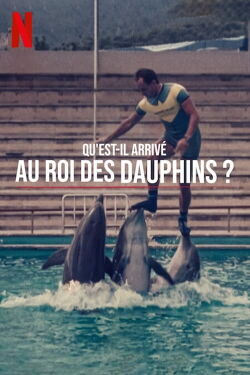 Qu'est-il arrivé au roi des dauphins ? (2022)