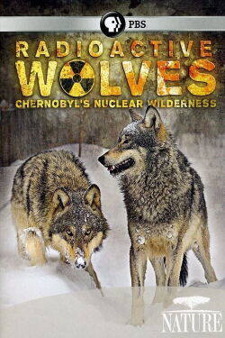 Radioactive Wolves: Chernobyl's Nuclear Wilderness (2011)