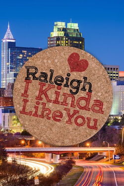 Raleigh. I Kinda Like You (2018)