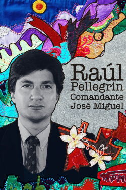 Raúl Pellegrin, Comandante José Miguel (2019)