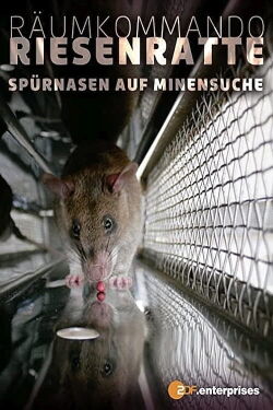 Räumkommando Riesenratte - Spürnasen auf Minensuche (2008)