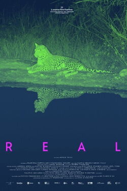 Real (2024)