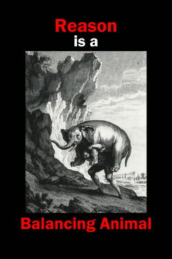 Reason is a Balancing Animal (2022)