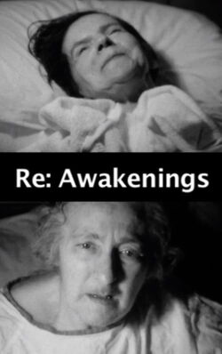 Re:Awakenings (2013)