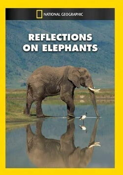 Reflections on Elephants (1994)
